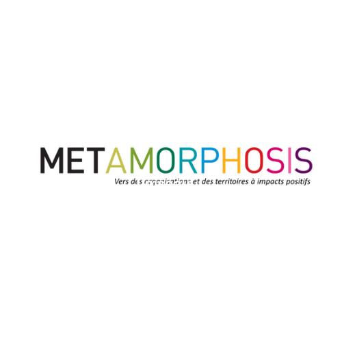 METAMORPHOSIS CONSULTING