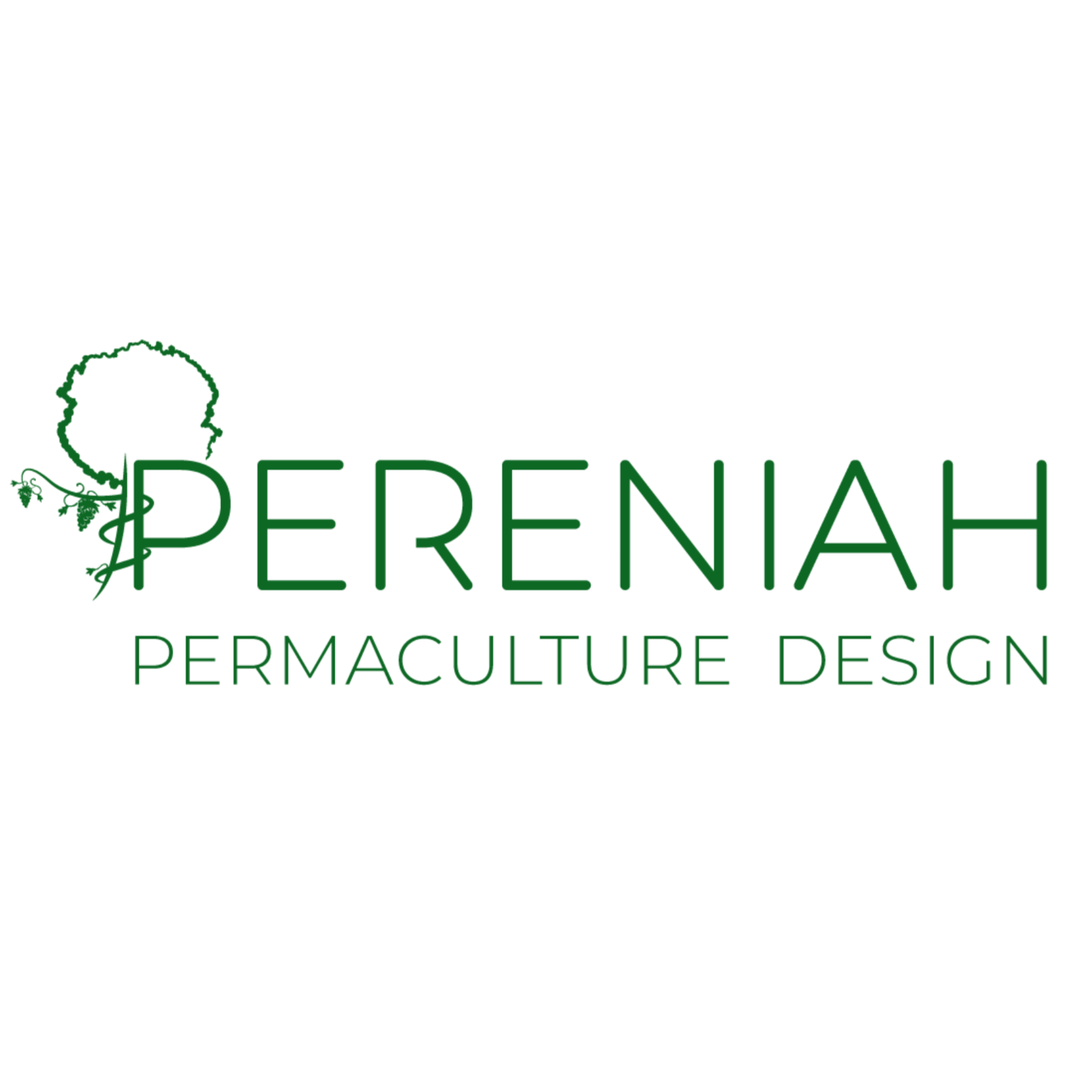 PERENIAH