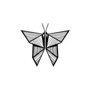 Polygones